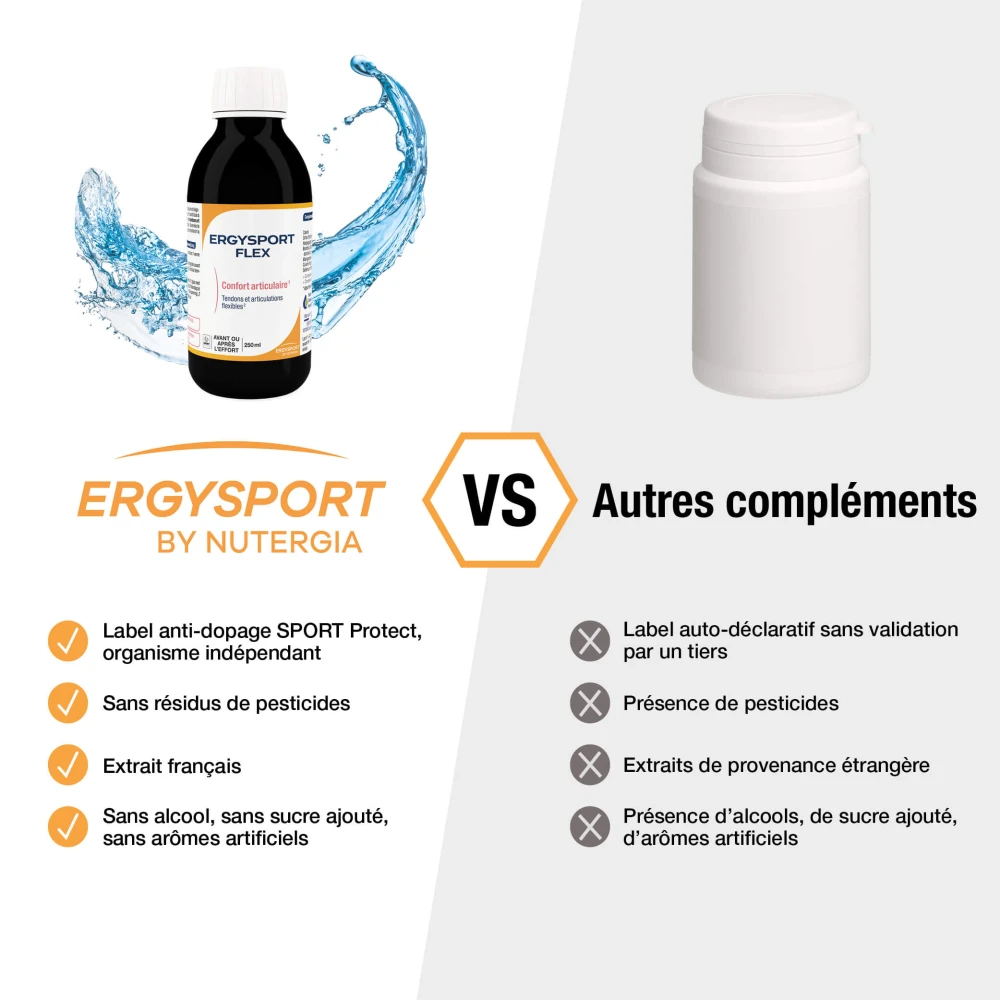 ERGYSPORT FLEX