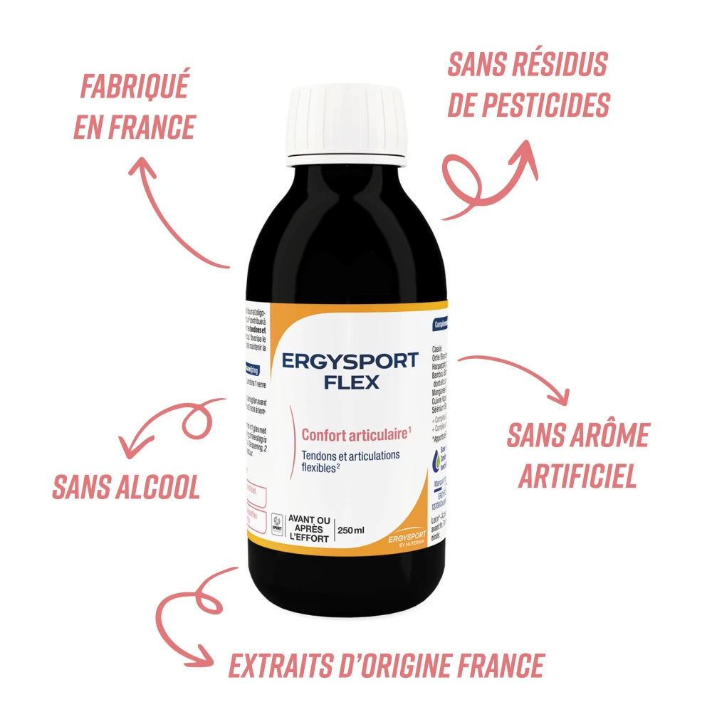 ERGYSPORT FLEX