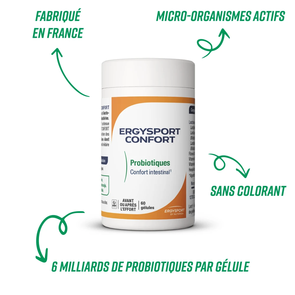 ERGYSPORT CONFORT